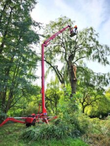 Piattaforme ragno per potatura e giardinaggio RA31