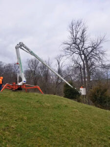 Piattaforma ragno per arboricoltura RA26